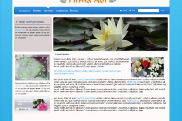 Гидра в даркнете